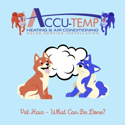 Pet Hair – What Can Be Done? | Accu-Temp Heating & Air Conditioning